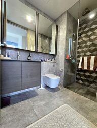 Leedon Green (D10), Condominium #558449961